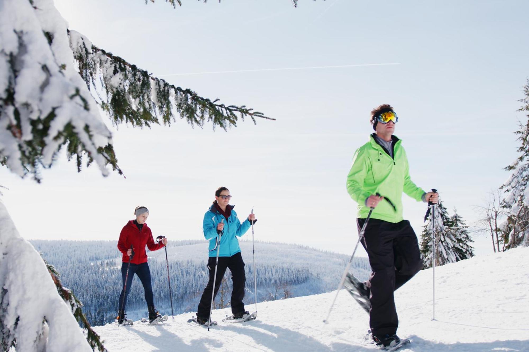 Ahorn Hotel Am Fichtelberg โอเบอร์วีเซินธาล ภายนอก รูปภาพ